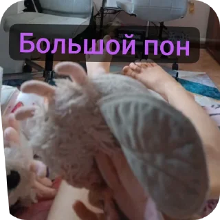 Sticker Пушина пон - 5