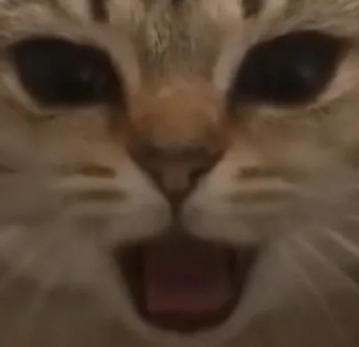 Sticker By Писюн :: @fStikBot - 4