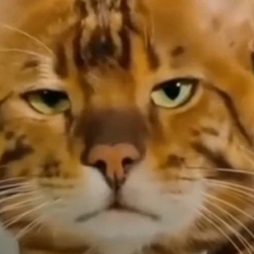 Sticker By Писюн :: @fStikBot - 2