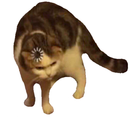 Стикер pussy_memes - 8