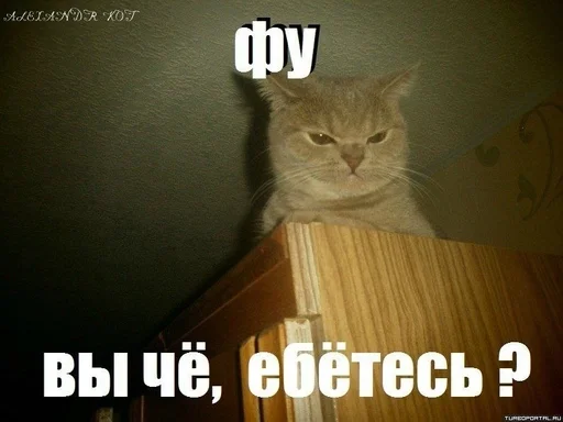 Кинь жопу :: @fStikBot - СМС