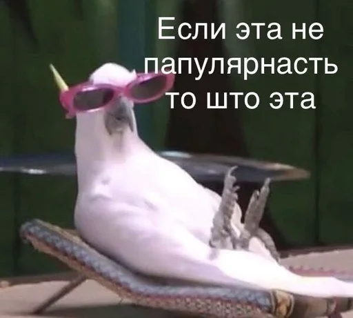 животное птица клюв