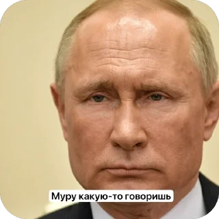 Стикер Путин - 9