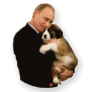 Стикер Путин - 10