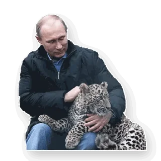 Стикер Путин - 6