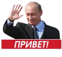 Путин - человеческое лицо