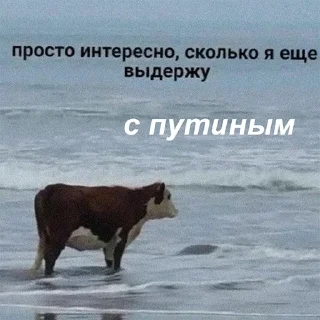 Sticker Россия без Путина by @teamnavalny - 3