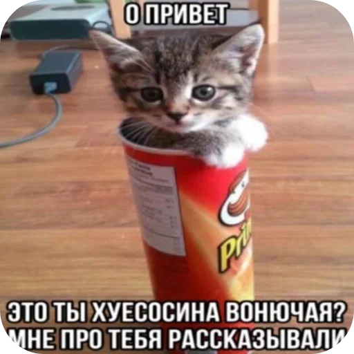 Больше стиков тут: @stikery4 - 