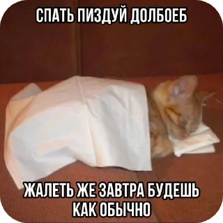 Стикер Больше стиков тут: @stikery4 - 7