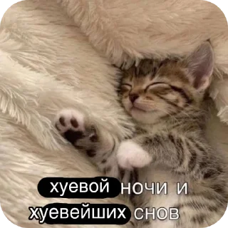 Стикер Больше стиков тут: @stikery4 - 6