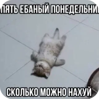 Стикер Больше стиков тут: @stikery4 - 2