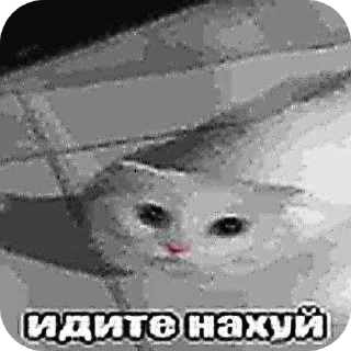 Стикер Больше стиков тут: @stikery4 - 1