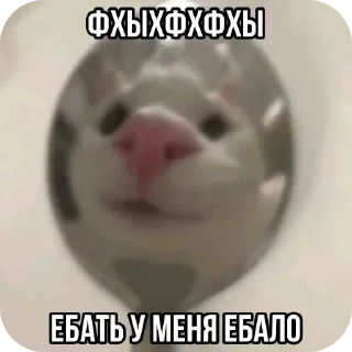 Стикер Больше стиков тут: @stikery4 - 4