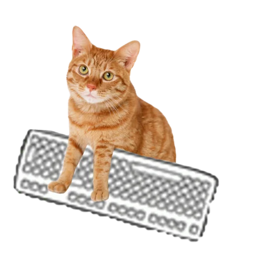 Стикер Пугодиум - 8