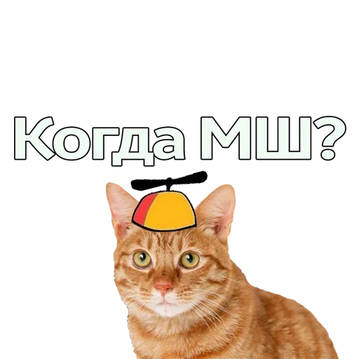 Стикер Пугодиум - 6