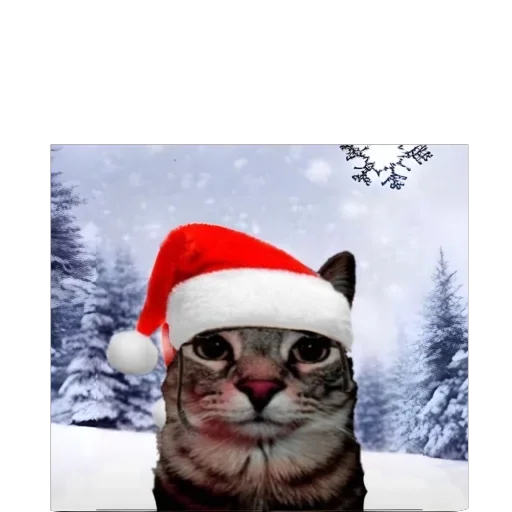 animal christmas outdoor