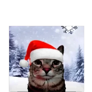 animal christmas outdoor