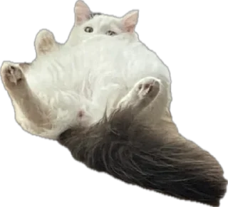 Sticker П'яні - 8