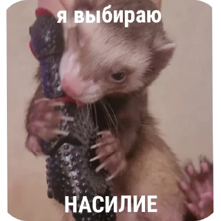 Стикер Пьяный хорь @boozyferret - 8