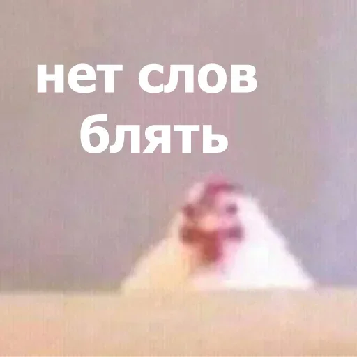 Стикер PykRBswnAI_by_stickers_stealer_bot - 1