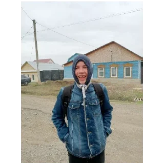 Стикер Пыль колесо мякоть уголки глухомань 29/5 корсет для собаки - 0