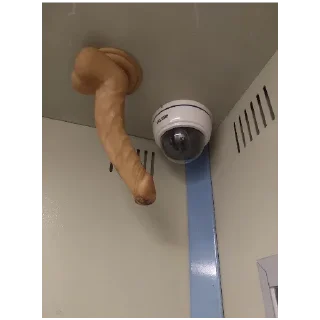 Стикер Пыль колесо мякоть уголки глухомань 29/5 корсет для собаки - 6