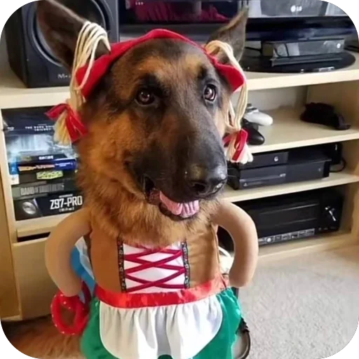 Sticker PyosHuesos - 1