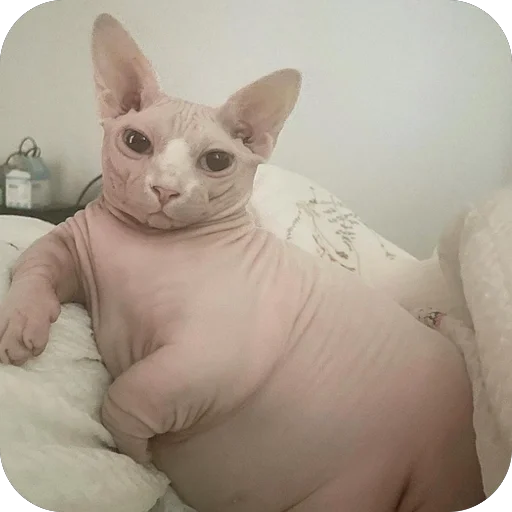 Sticker PyosHuesos - 1