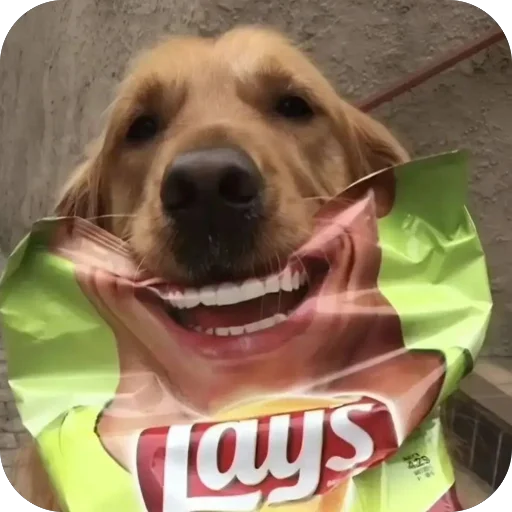 Стикер PyosHuesos - 1