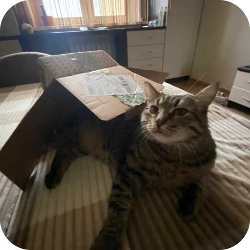 Стикер PyosHuesos - 1