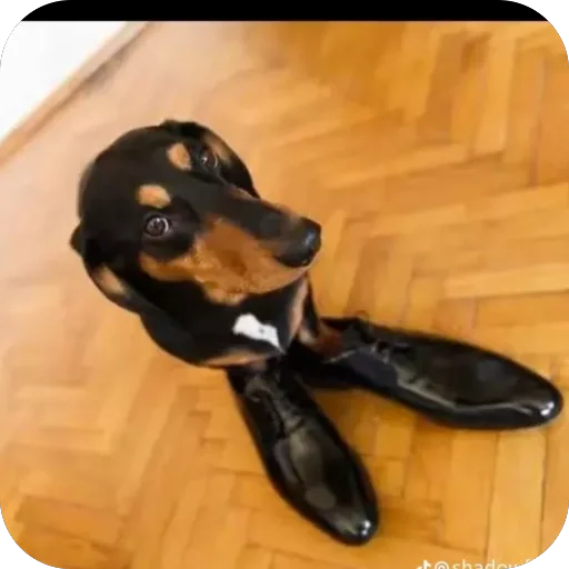 Sticker PyosHuesos - 1