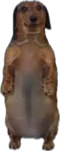 Стикер PyosHuesos - 1