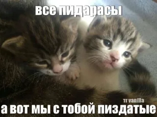 Sticker Создать стикеры|@EmojiRuBot - 6