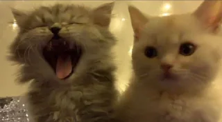 Sticker Создать стикеры|@EmojiRuBot - 2