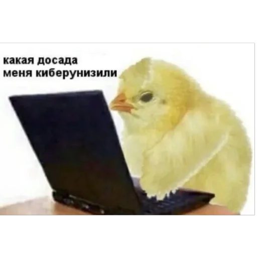 хэппихаус от KK - 
