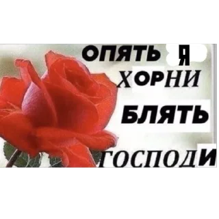 Sticker хэппихаус от KK - 4