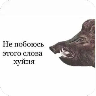 Sticker хэппихаус от KK - 11