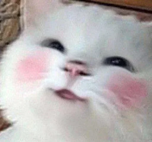 Лучьше стикеры - @lovesticers - 