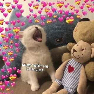 Sticker Лучьше стикеры - @lovesticers - 11