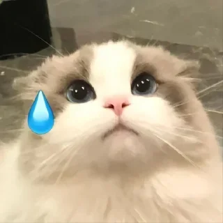 Sticker Лучьше стикеры - @lovesticers - 4