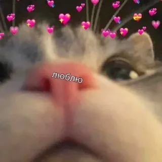 Sticker Лучьше стикеры - @lovesticers - 3