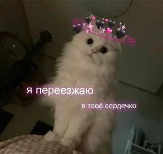 Sticker Лучьше стикеры - @lovesticers - 7