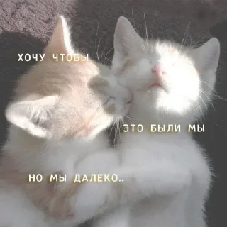 Sticker Лучьше стикеры - @lovesticers - 9