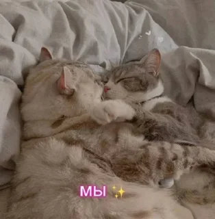 Sticker Лучьше стикеры - @lovesticers - 1