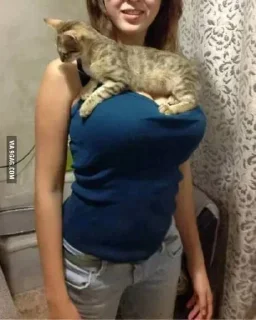 Человек одежда комнатный