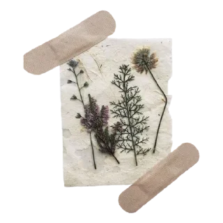 Стикер Больше стиков тут: @stikery4 - 7