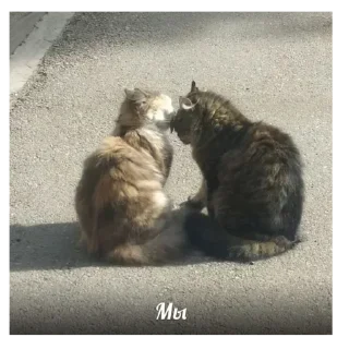 Стикер 💕Стики тут: @sekstick - 1