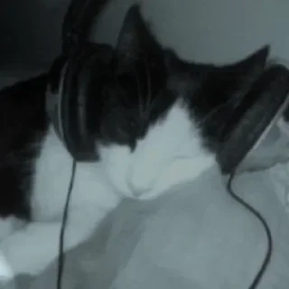 Стикер 💕Стики тут: @sekstick - 11