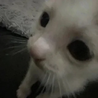 Стикер 💕Стики тут: @sekstick - 4