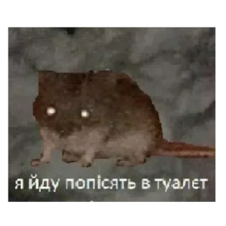 Стикер 💕Стики тут: @sekstick - 9